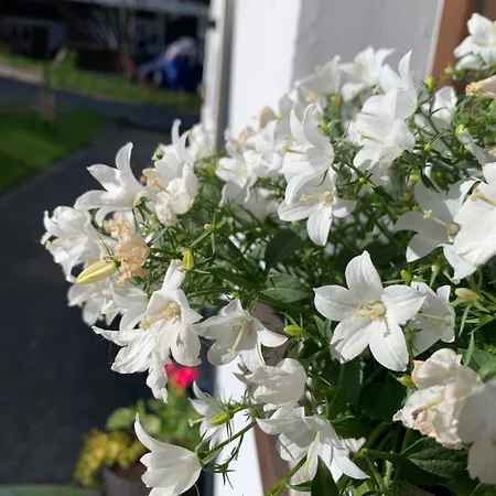 Appartamento Pod Goralskim Niebem Gliczarow Gorny