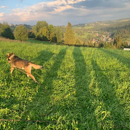 Pod Góralskim Niebem * Gliczarow Gorny