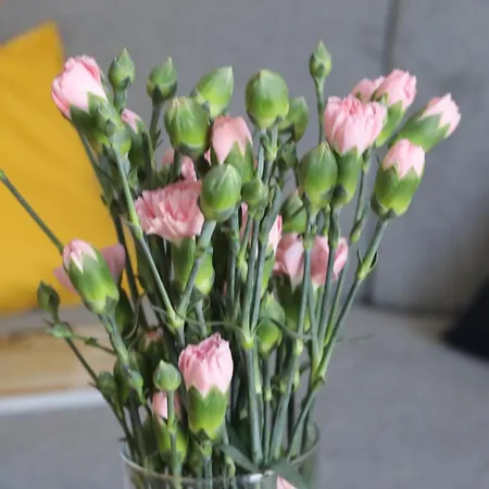 דירה Pod Goralskim Niebem *