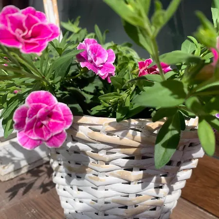 Pod Goralskim Niebem Gliczarow Gorny